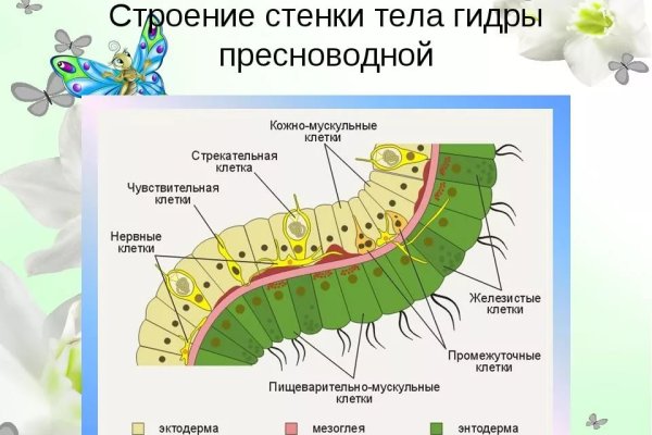 Кракен официальный
