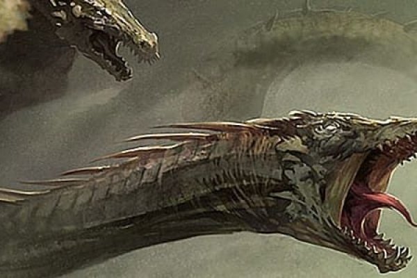 Kraken 21at