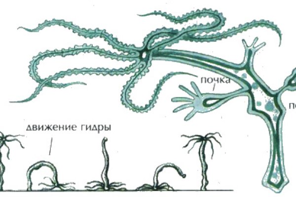 Kraken рабочее зеркало