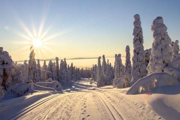 Кракен ссылка призыва нет
