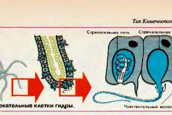 Кракен тор текст