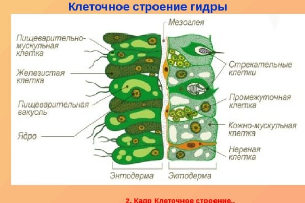 Кракен новый маркетплейс