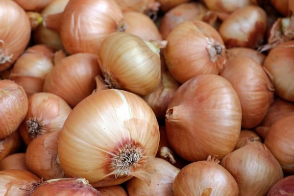 Kraken адрес onion