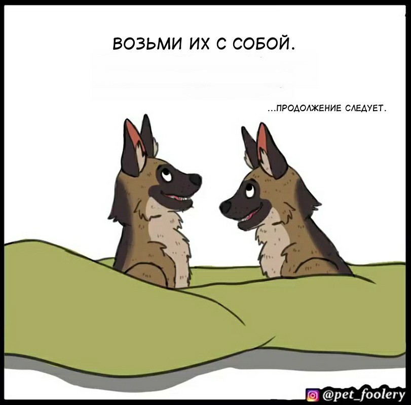 Что такое кракен тор